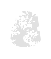 Citadel Technical Valhallan Blizzard 24Ml