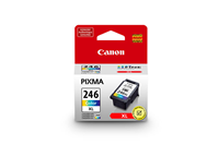 Canon CL-246XL Color Printer Ink Cartridge